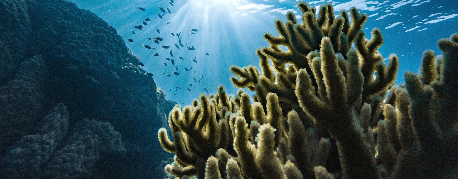 三達(dá)膜中水回用、陶瓷膜、石墨烯膜、黑金膜公眾號(hào)，歡迎您掃碼關(guān)注！